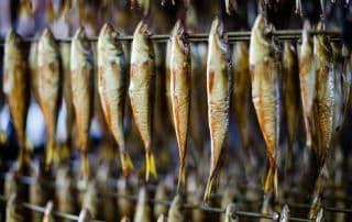 Smoked fish hanging for drying.