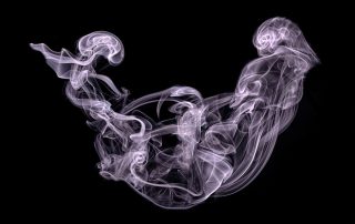 Abstract smoke pattern on black background